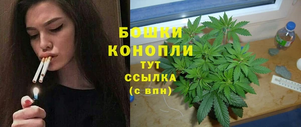 гидра Баксан