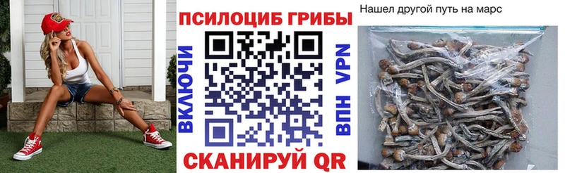 Галлюциногенные грибы мицелий  цены   Белоярский 
